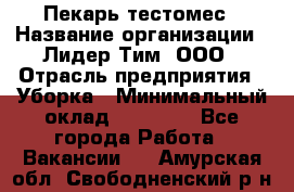 Пекарь-тестомес › Название организации ­ Лидер Тим, ООО › Отрасль предприятия ­ Уборка › Минимальный оклад ­ 30 000 - Все города Работа » Вакансии   . Амурская обл.,Свободненский р-н